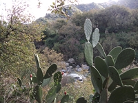 cantara gurne23122011 114